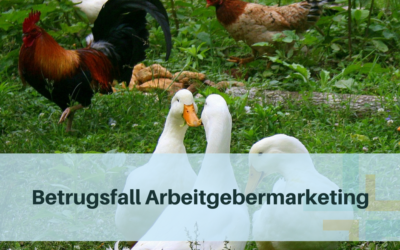 Betrugsfall Arbeitgebermarketing