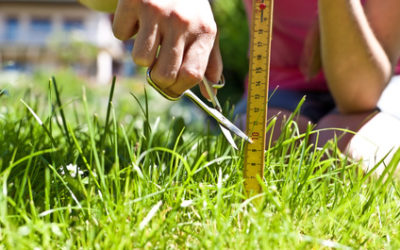 Was Personaler über Perfektionismus wissen sollten