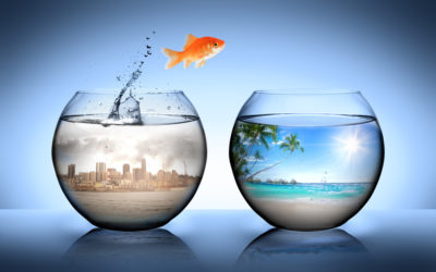 Was motiviert mehr: Zuckerbrot oder Peitsche?