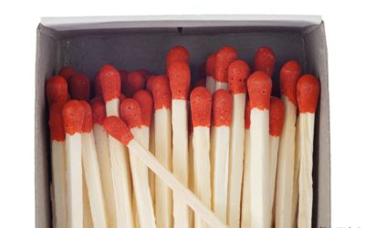 Kontinuität oder Abwechslung?